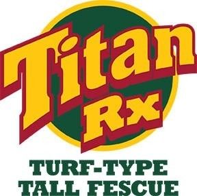 Titan RX Tall Fescue Grass Seed - 25 Lbs.