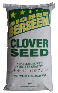 Bigbee Berseen Clover Seed - 50 Lbs.