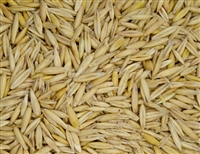 Bob Oats Grain Seed - 1 Lb.