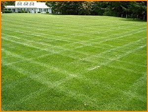 Centipede "Coated"Grass Seed - 2 Lbs.