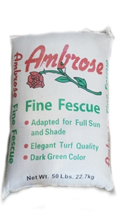 Ambrose Chewing Fescue - 1 lb.