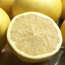 Duncan Grapefruit - 1 Packet (7 Seeds)