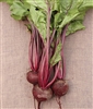 Beets Early Wonder Seed - 1 Packet