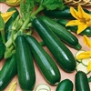 Squash Zucchini Black Beauty Seed Heirloom - 1 Packet