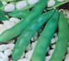 Garden Beans Henderson's Lima Seed - 1 Packet