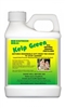 Kelp Green All Natural Liquid Fertilizer - 1 Quart