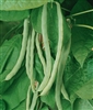 Garden Bean Kentucky Wonder Pole Seed Heirloom - 1 Packet