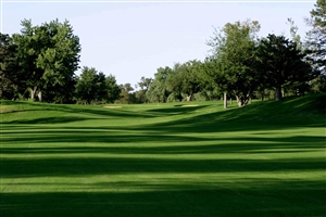 Monaco Bermudagrass Seeds  - 25 Lbs.