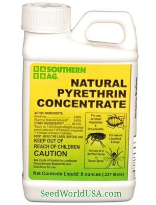Natural Pyrethrin Concentrate - 8 Oz