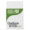 Oxadiazon 2G Pre-Emergent Herbicide (Ronstar Alternative) - 50lbs