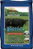 Patriot White Clover Seed - 25 Lbs.