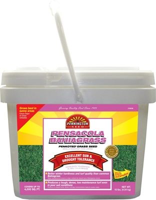 Pennington Pensacola Bahia Grass Seed Pail - 10 Lbs.