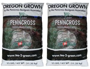 Penncross Bentgrass Seed - 20 Lbs.