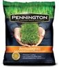 Pennington Premium Bermudagrass - 1 Lb.