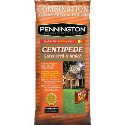 Pennington Centipede Grass Seed and Mulch - 5 lbs.