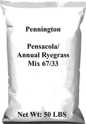 Pensacola Bahia / Annual Ryegrass Mix - 50 Lbs