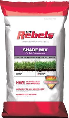 Rebel Tall Fescue Shade Grass Seed - 3 Lbs.
