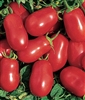 Tomato Roma VF Seed - 1 Packet