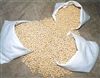 Soybean Food Plot Seed Certified - 10 Lbs.