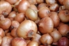 Yellow Sweet Spanish Onions