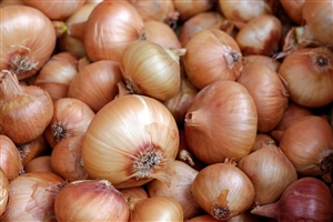 Yellow Sweet Spanish Onions