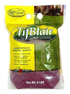 Tifblair Centipede Grass Seed (Certified) - 5 Lbs.