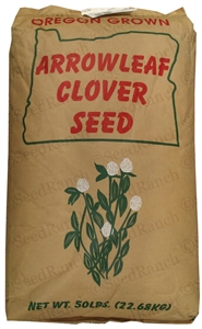 Yuchi Arrowleaf Clover Seed - 50 Lbs.