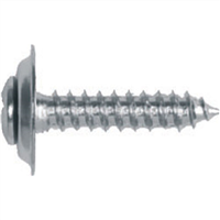 Phillips Oval Head Trim Screw, Size: 8 x 1", Head Size: #6, Finish: Chrome, Qty: 10