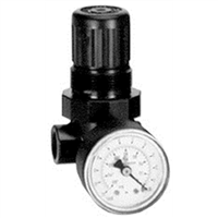 Amflo 4100D</Br>1/4 - Regulator W/Gauge