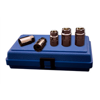 Assenmacher 201-7 Extractor Set 5 Piece Metric