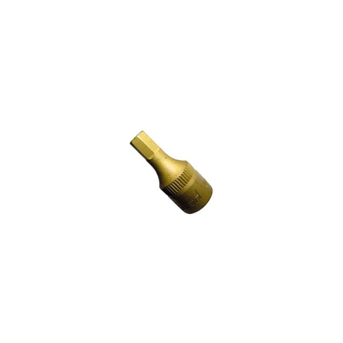 1/2in. Drive Hex Bit Socket - 19mm