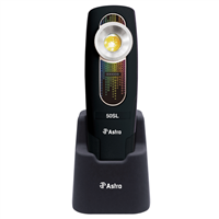 SunLight 400 Lumen Rechargeable Color Match Light