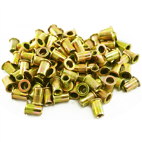 100 Piece 1/4-20 Steel Rivet Nuts