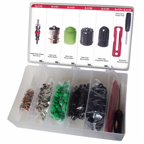 Valve Caps & Cores Assortment Kit