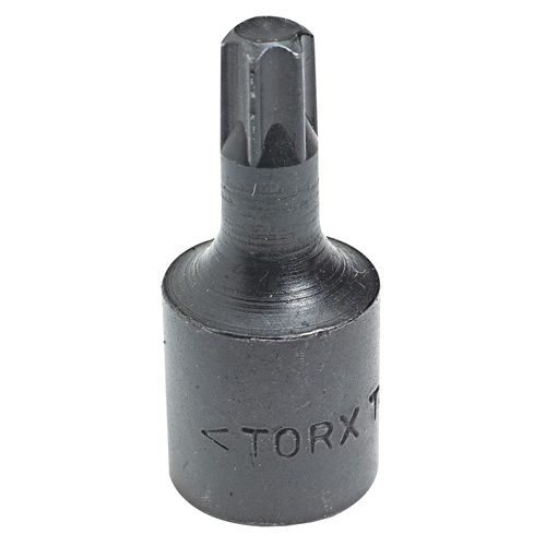 Torx Bit Socket, 3/8" Drive, T40 Internal Torx