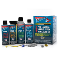 Berryman Products 4-Step Professional Air & Fuel System (Pack of 4)