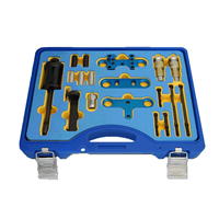 Fuel Injection Tool Kit for BMW 14PC