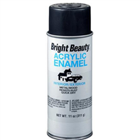 Krylon BB305 Bright Beauty Acrylic Enamel Flat Black 11 oz. Aerosol