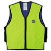 Ergodyne 12535 6665 Xl Lime Evap Cooling Vest