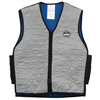 Ergodyne 12543 6665 M Gray Evap Cooling Vest