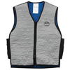 Ergodyne 12545 6665 Xl Gray Evap Cooling Vest
