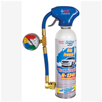 R134A W/SYNTHETIC REFRIGERANT OIL 22OZ