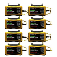 Battery Charger/Maintainer 8pk