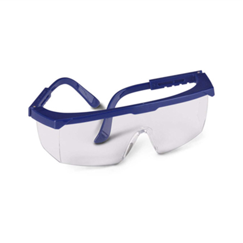 Gateway Safety 49Rb80 Safety Glasses Clear/Blu Frame