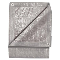 Michigan Ind Tools 6380 20' X 30' Silver Tarp