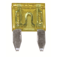 The Best Connection 20309f 30 Amp Green Mini Fuse 2 Pcs