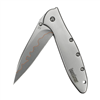 Kershaw 1660Cb Leek Composite Blade Knife