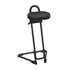 Lds Industries 1010241 Sit Stand w/ Swivel Seat