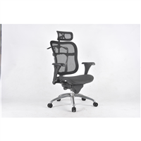Executive Chair - Mesh seat/back