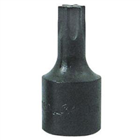 3/8 in. Drive Torx Socket T-40